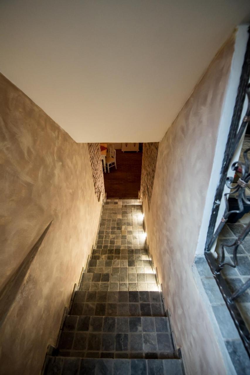 Vila Nicopole Art & Wine Brasov Ngoại thất bức ảnh