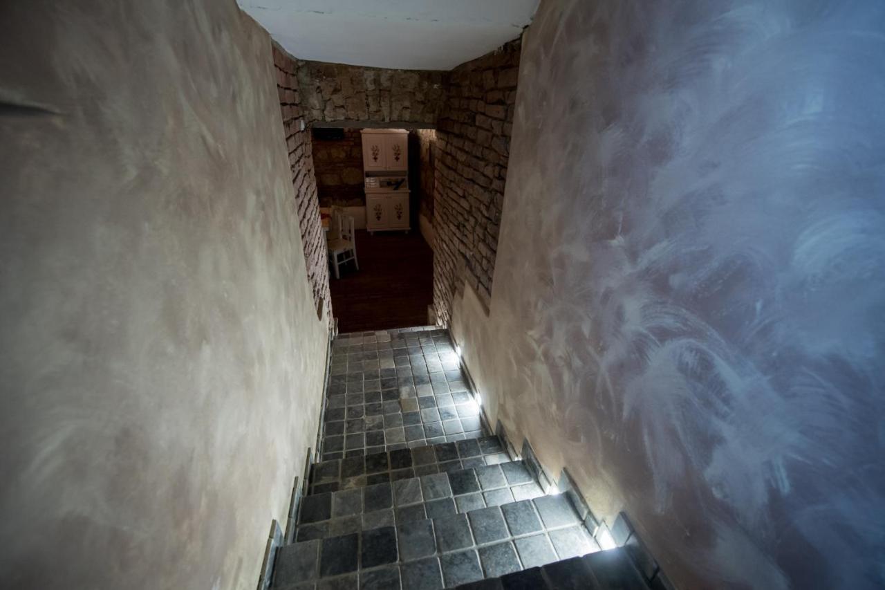 Vila Nicopole Art & Wine Brasov Ngoại thất bức ảnh