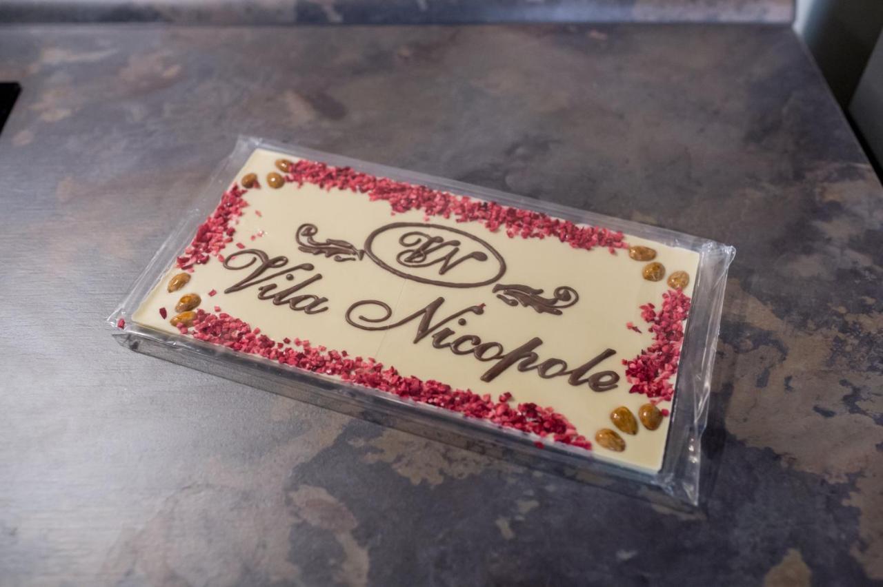 Vila Nicopole Art & Wine Brasov Ngoại thất bức ảnh